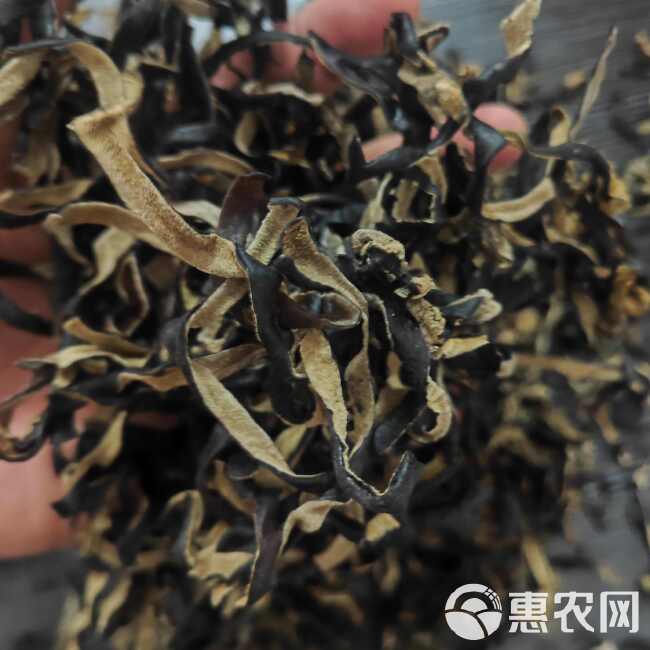 头茬白背毛木耳丝干货批发零售 干净 火锅螺蛳粉餐饮