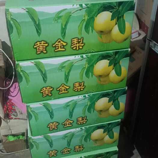 泗水县黄金梨