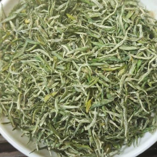 洛阳信阳毛尖