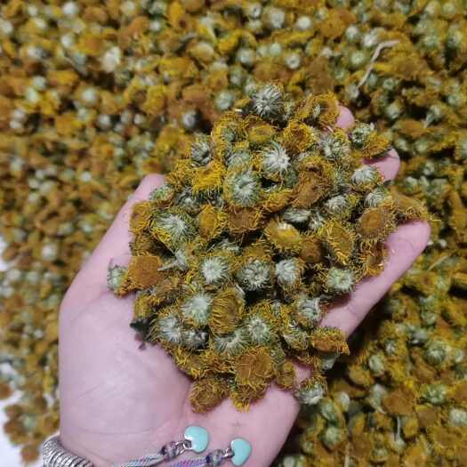 邱县新货中药材— 旋覆花