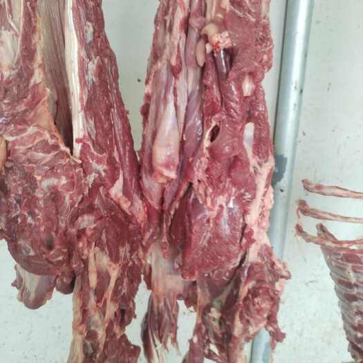 利津县鲜羊肉