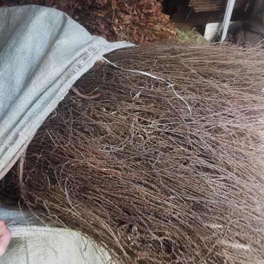 旬阳市秦岭马鞭草秦岭马鞭草干货批发，今年新货批发零售