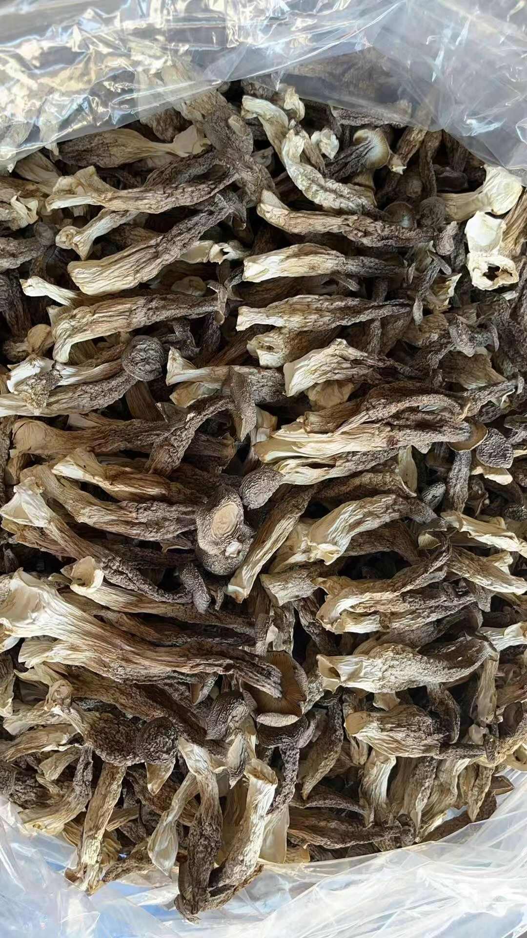 包邮鹿茸菇干货批发煲汤香菇酒店两用基地直发