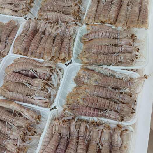 北海熟冻满肉公皮皮虾，虾姑，弹虾，濑尿虾，爬爬虾