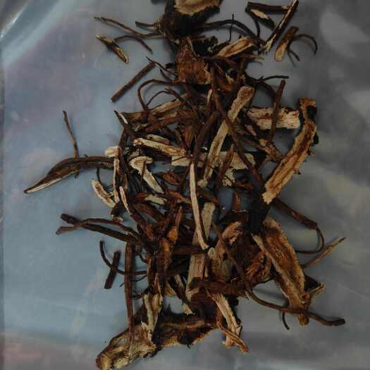玉林贵州产前胡别名白花前胡官前胡中草药干货