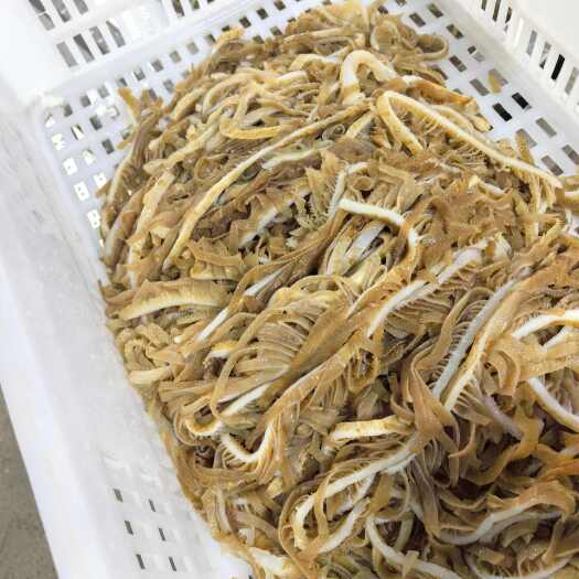 成都毛肚  茶色千层