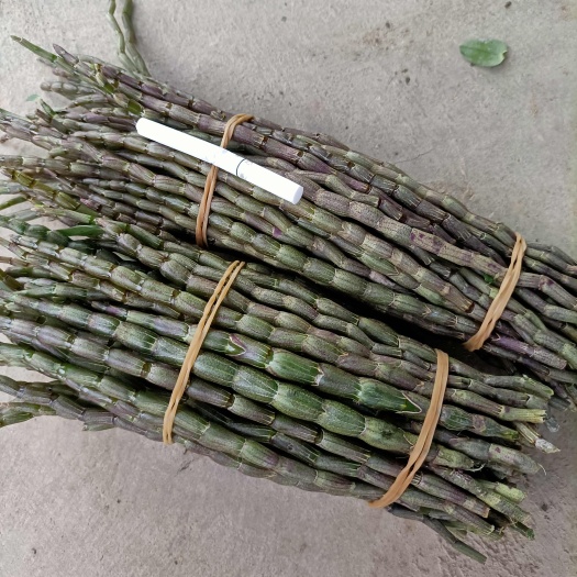 芒市高原特色石斛铁皮石斛  鲜条大量批发，快递正常发货，