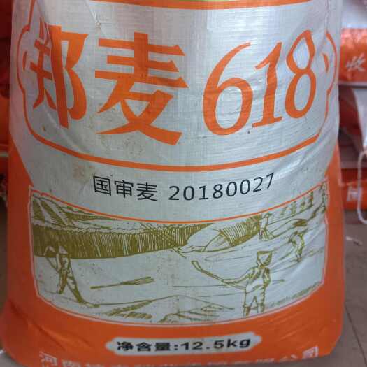 民权县郑麦618     产量顶呱呱
