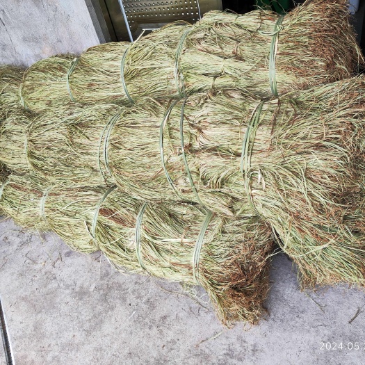 大竹县黄麻