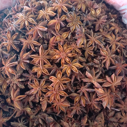 郑州广西大红八角