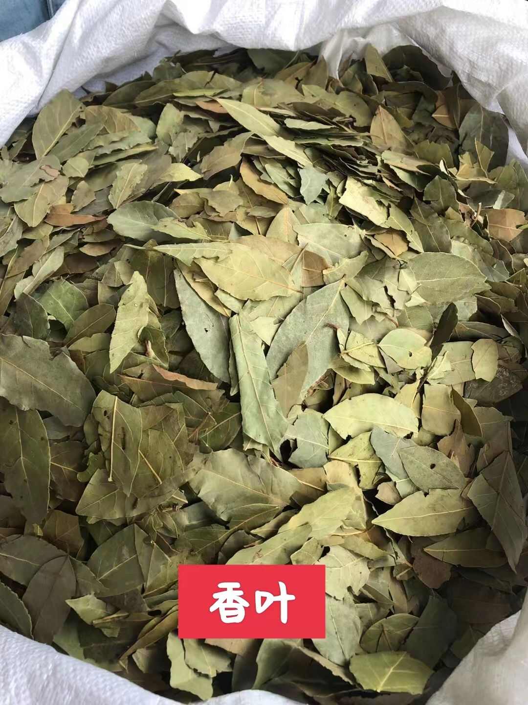 香叶/云南香叶/精选好货/批发兼零售，量大可商议，全国包邮