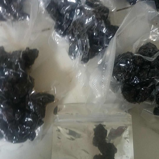 长沙姜形黄精