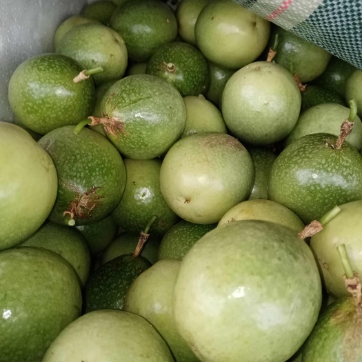 灵山县自家种植钦蜜九号黄金百香果