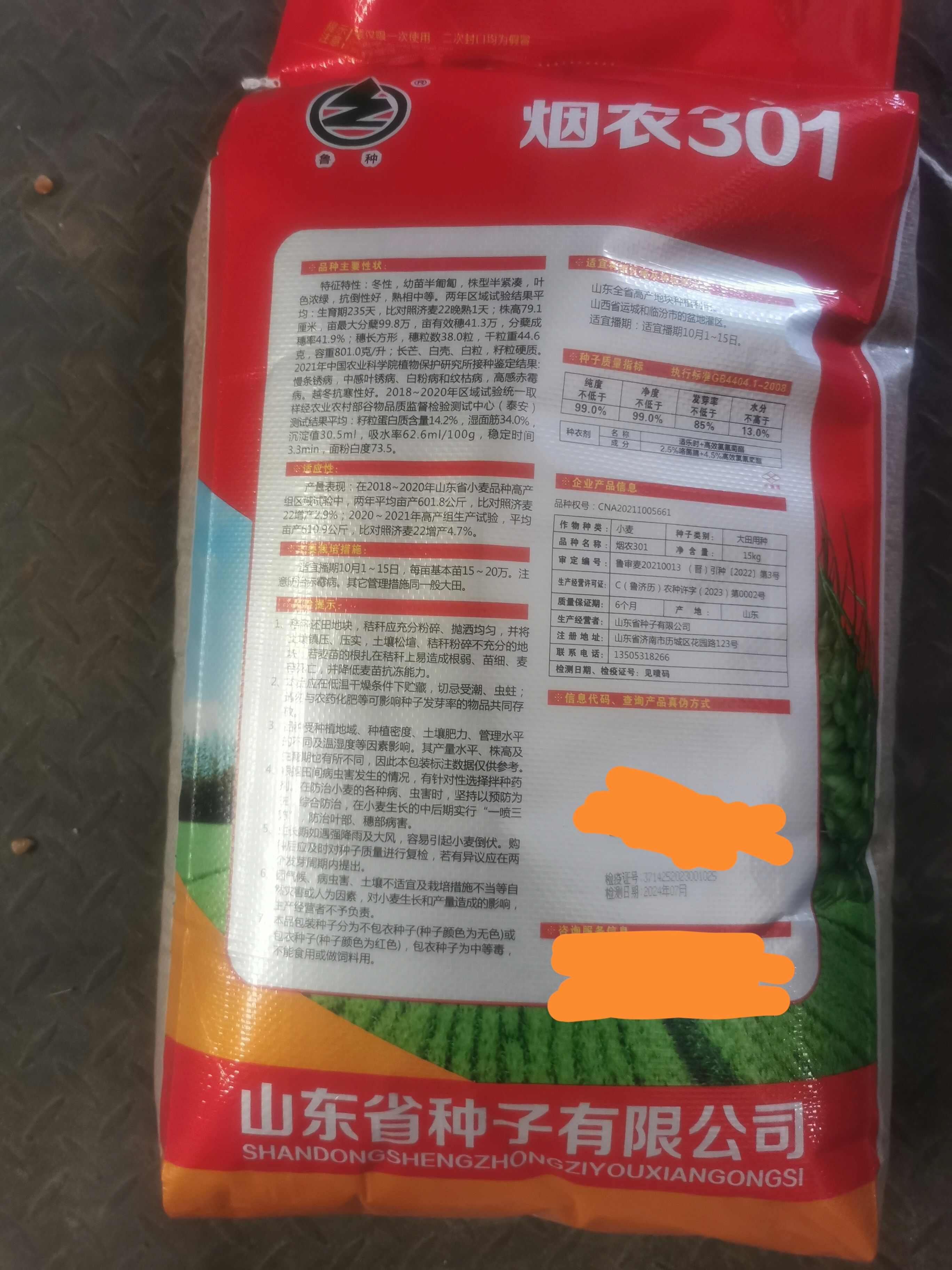 烟农301，烟台农科院精心打造，矮秆，大穗，抗病，品质优！