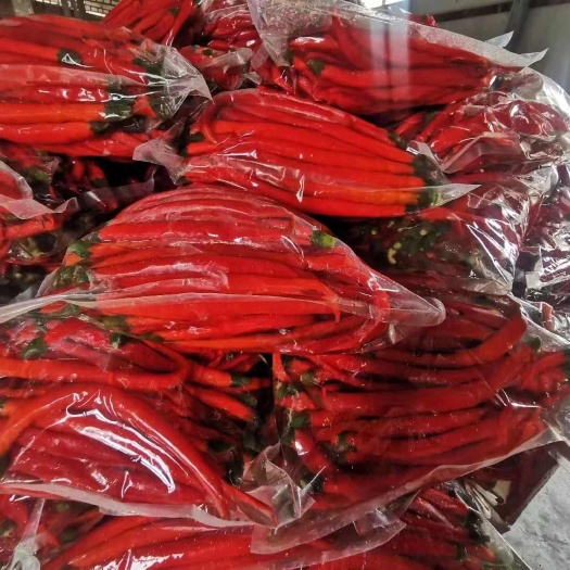 大量出售鲜包泡椒二荆条