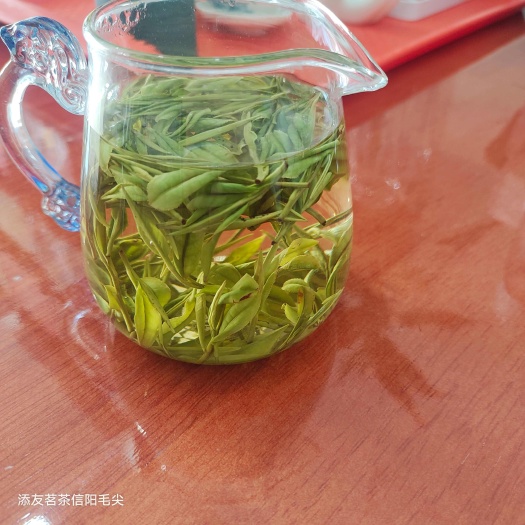 淮滨县安吉白茶