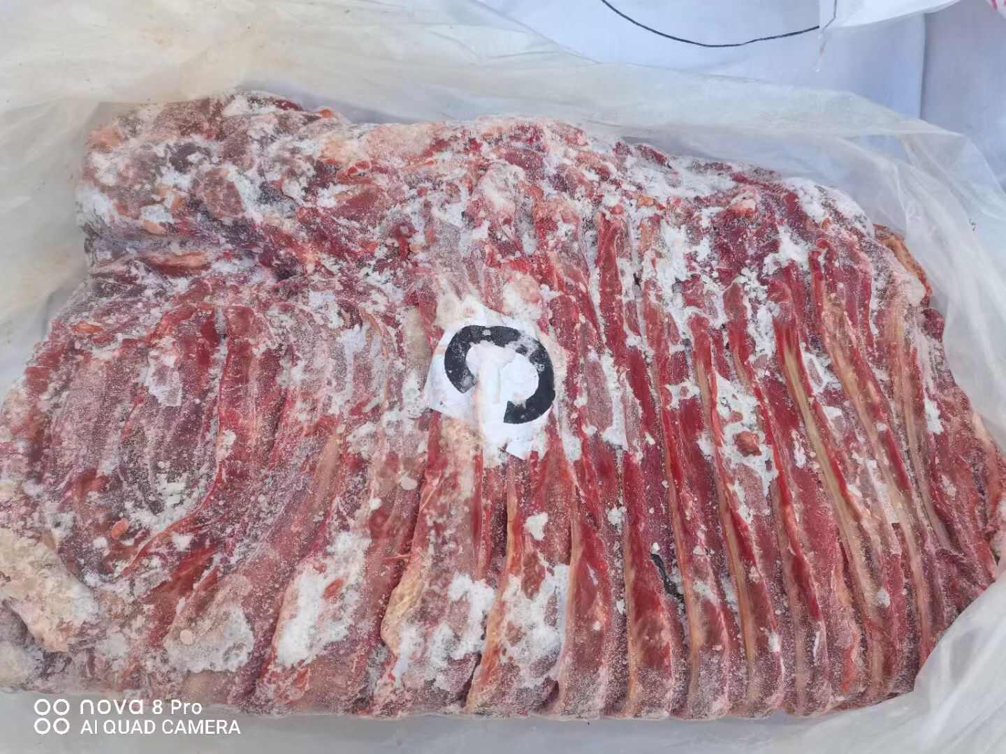 河南郑州惠济区新鲜优质马肉供货商