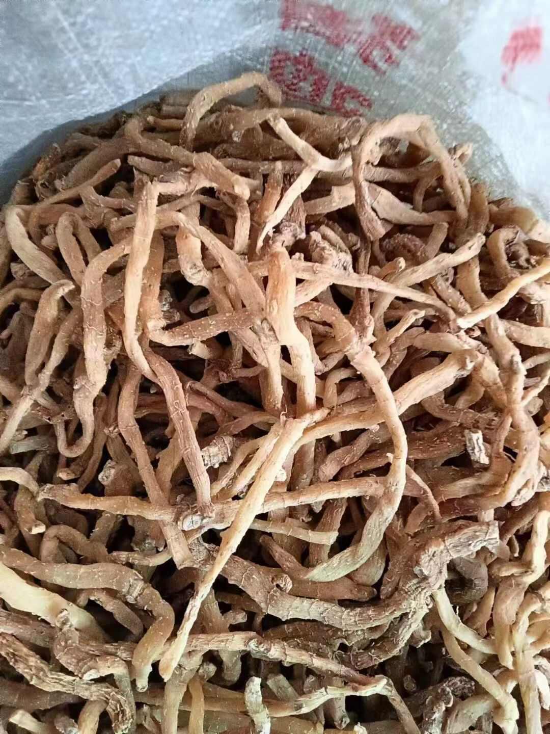 宜昌玉竹