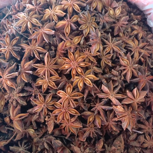 郑州广西大红水汤八角干度好味道纯正