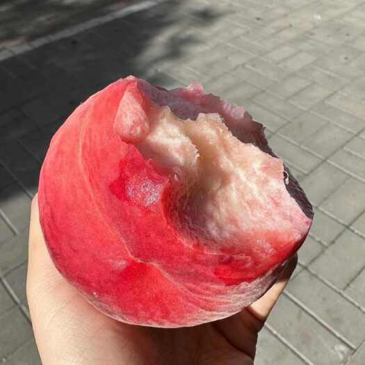 宁海县桃子下山了哦～（下市了）感谢喜欢和支持，我们明年再见哟！
