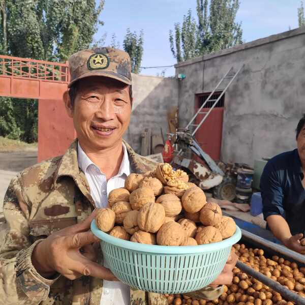 新疆阿克苏185纸皮核桃今年新品未洗原味生核桃袋装零食