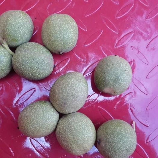 合阳县青皮核桃