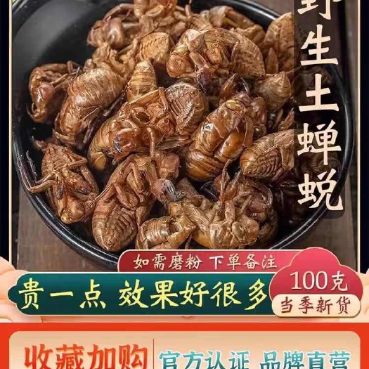 安国市新货，蝉蜕， 干净无土！货！包邮到家！一分钱一