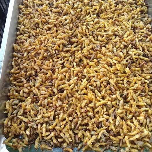 宣恩县油炸蜂蛹