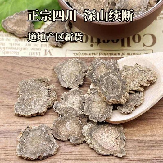 亳州川续断