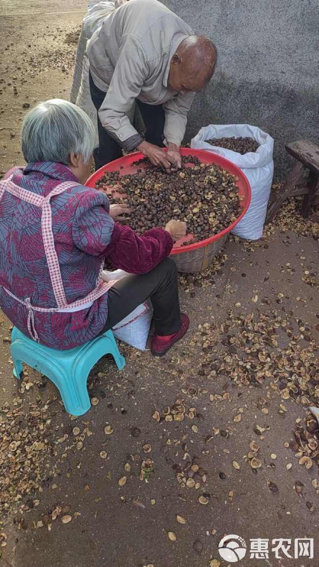 山茶油  野生茶籽油  物理压榨