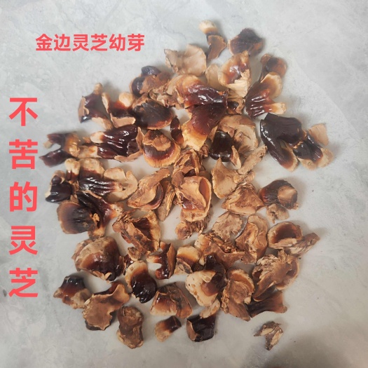 冠县灵芝幼芽金边灵芝幼芽嫩芽不苦煲汤泡茶