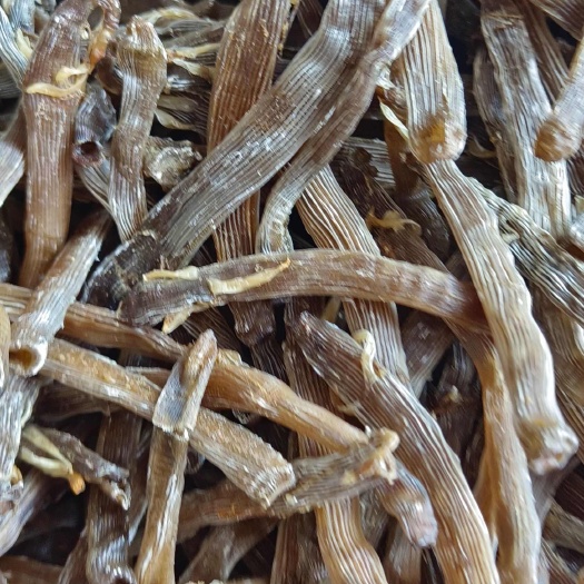 北海特产沙虫干