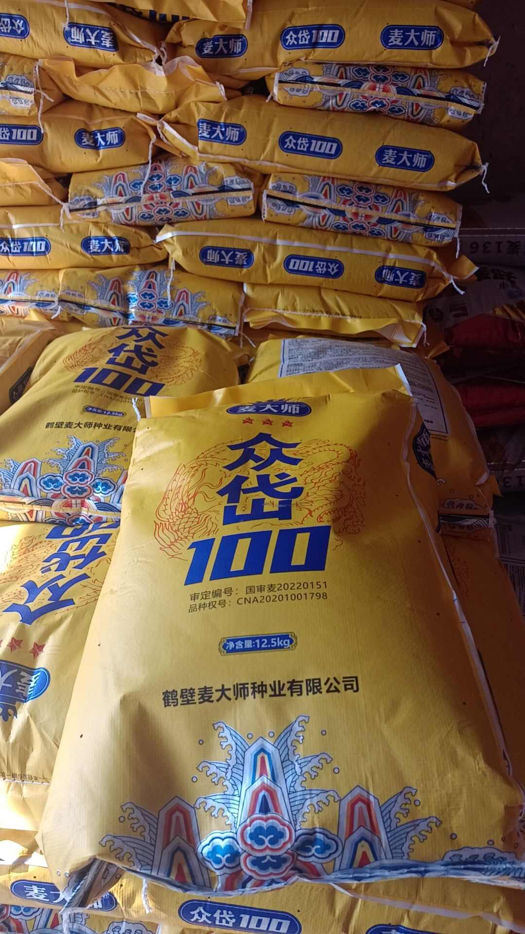 众岱100原厂第一代原种：假一赔十产量高，耐寒，抗旱