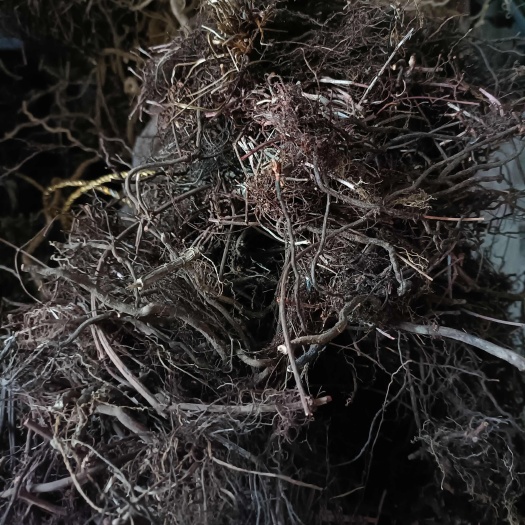 商城县茜草根新货自然晒干无硫熏整棵切段批发零售均可