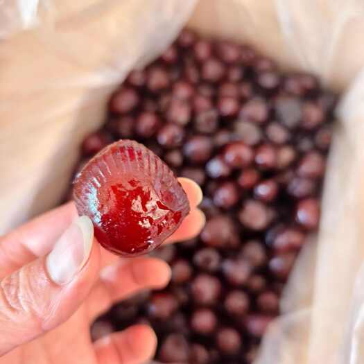 沧县红无核软蜜枣阿胶枣零食包粽子整箱批发