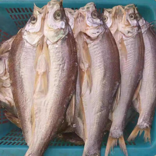 沅陵县鱼干 白条  翘嘴