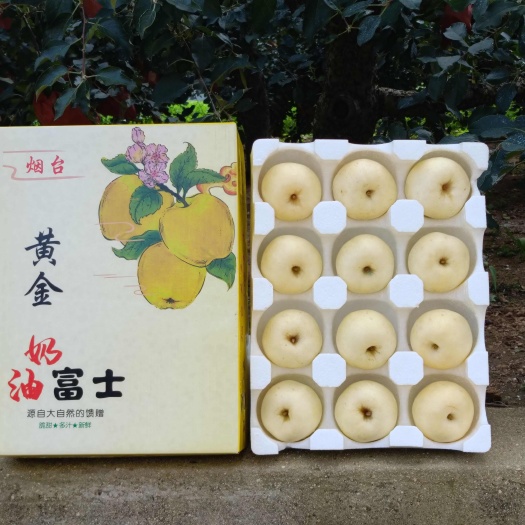 烟台当季鲜果黄金苹果奶油富士苹果嘎啦果非黄元帅孕妇鲜果可食