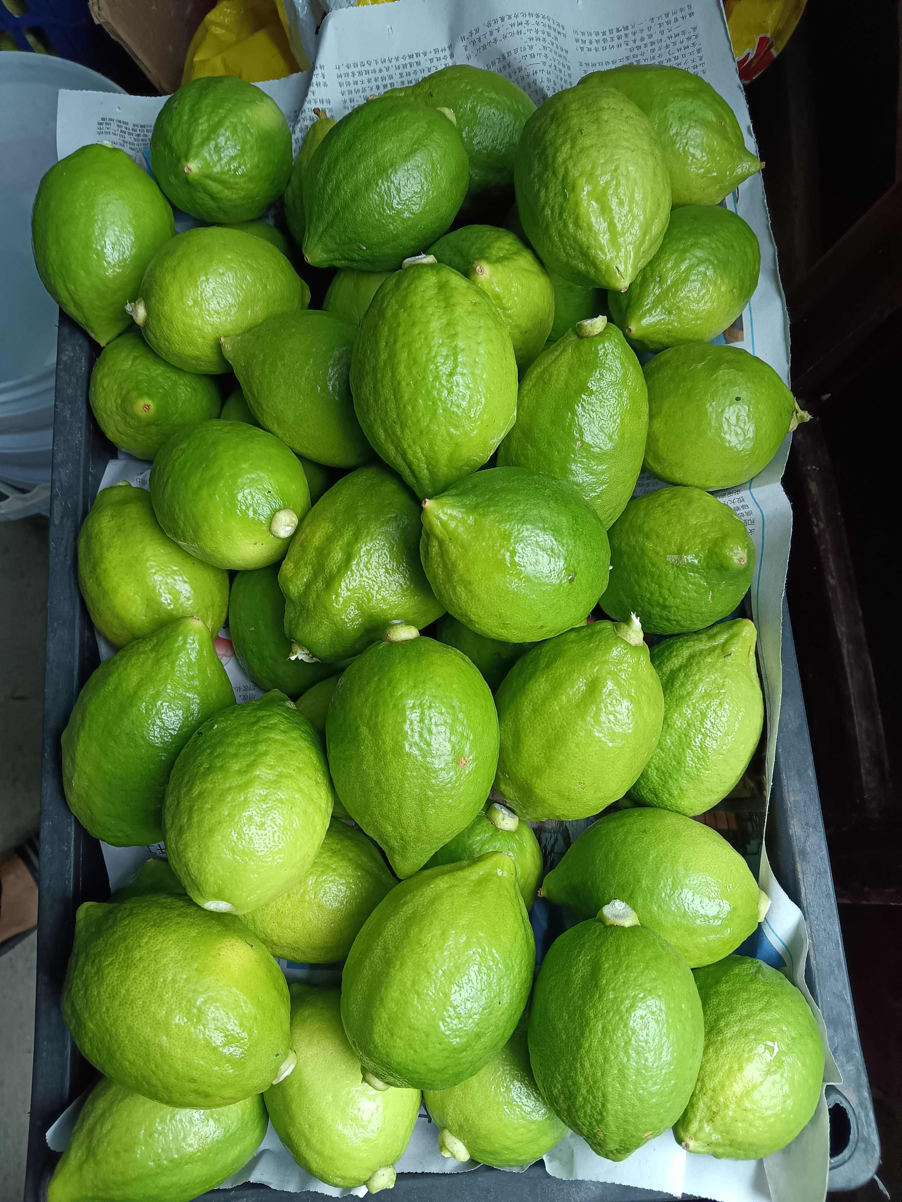 广东香水柠檬无籽产地直销量大优惠