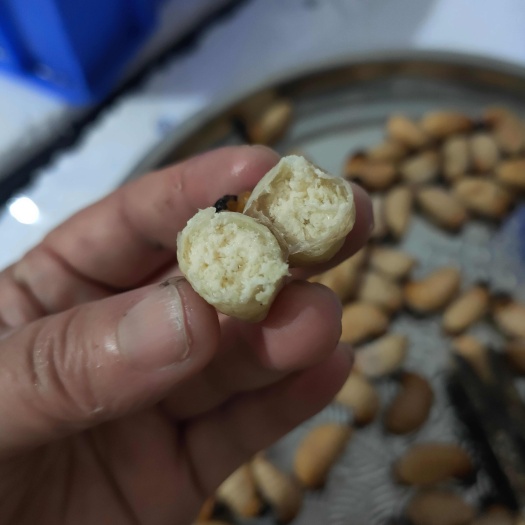 永州高蛋白竹笋竹虫