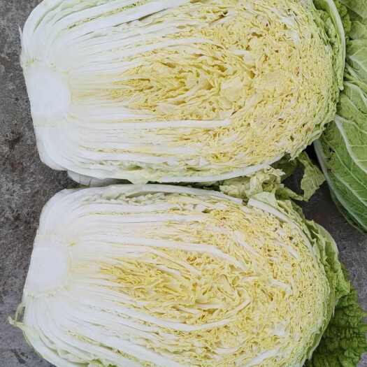 泰来县黄心大白菜，产地直销
