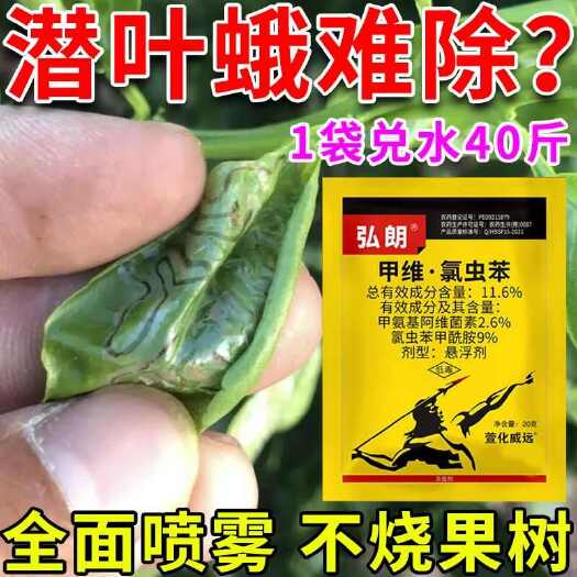 栾川县专打潜叶蛾】柑橘虫害专用药虫卵双杀高浓度农药不伤树预柑橘溃烂