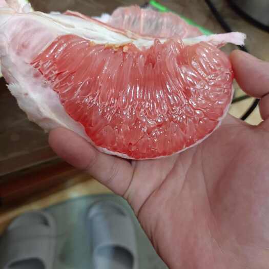 平和县蜜柚，实力产地直供，工厂代加工，专业代办10余年