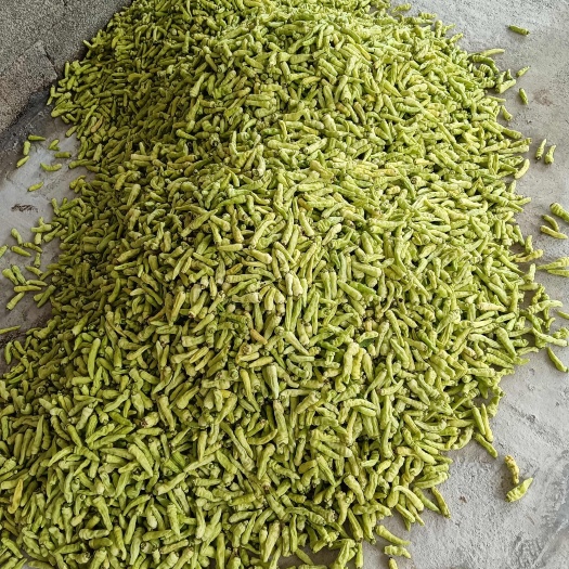 盘州市大量出售黄泡椒自己家里种的