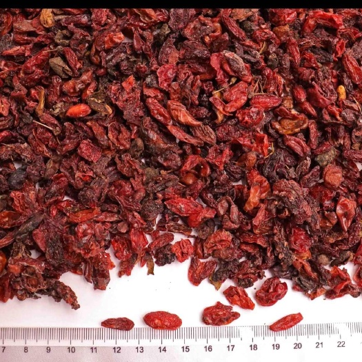 永登县山萸肉