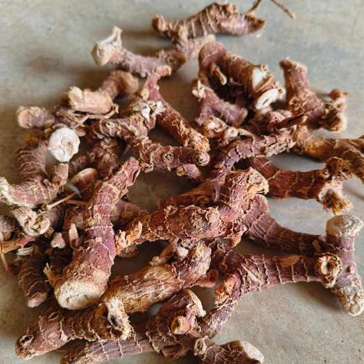 玉林加工厂一手货源：无硫高良姜个