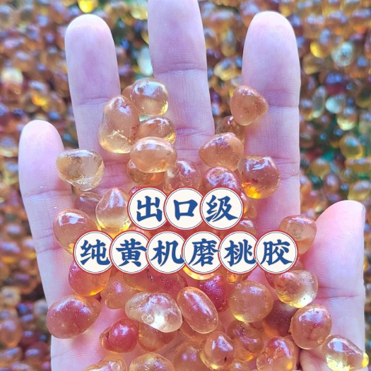 【桃胶产地】 出口级纯黄 珍珠桃胶 机磨桃胶 50斤包邮