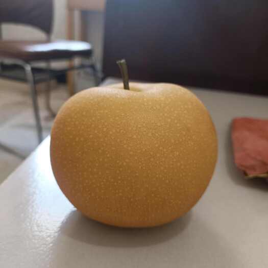 秋月梨，半斤起，专家预测近四万斤
