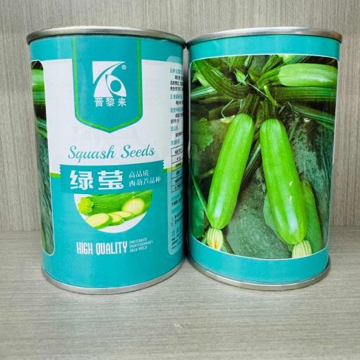 绿莹耐热西葫芦种子  种都高科耐热西葫芦种子