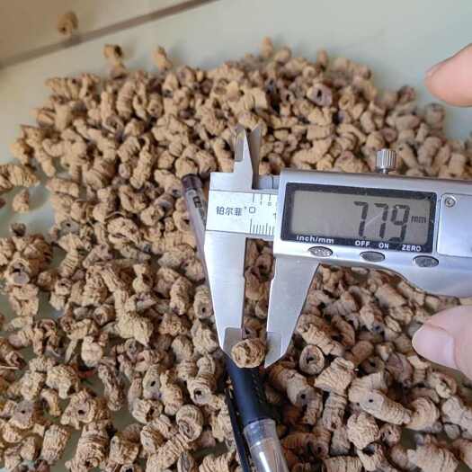 巴戟天抽芯剪粒