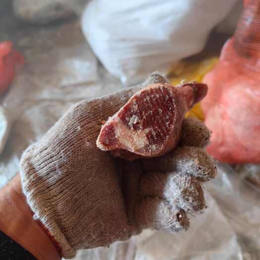 青县羊前后腿肉块